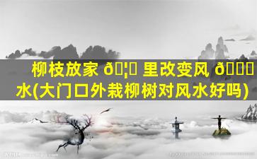柳枝放家 🦊 里改变风 🐞 水(大门口外栽柳树对风水好吗)